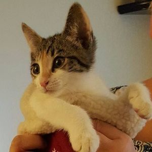 Meet your Posher, Jeri